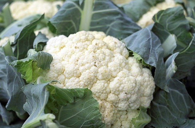 Blumenkohl Stück