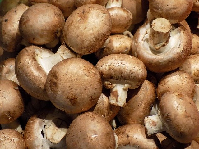 Champignon braun 100 g