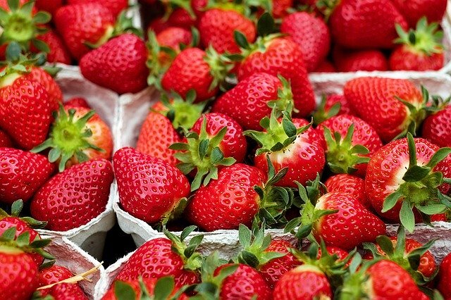 Erdbeeren Schale Deutsch