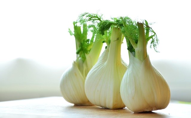 Fenchel Stück D/I