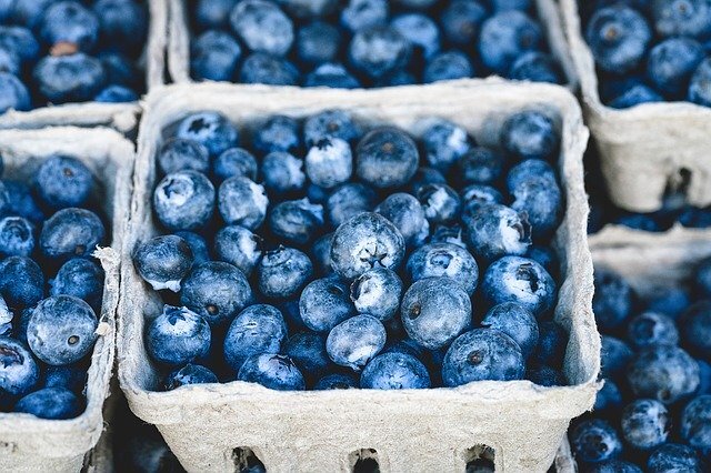 Heidelbeeren D Schale