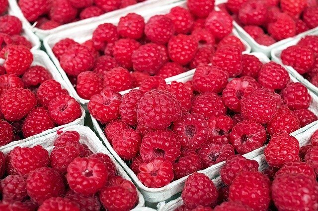 Himbeeren MA Schale