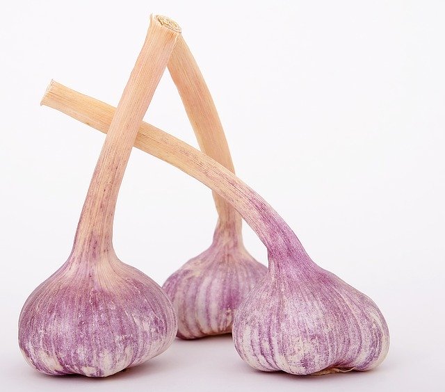 Knoblauch Stück Holland