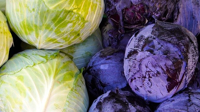 Kohl Rot oder Weiß Stück Deutschland