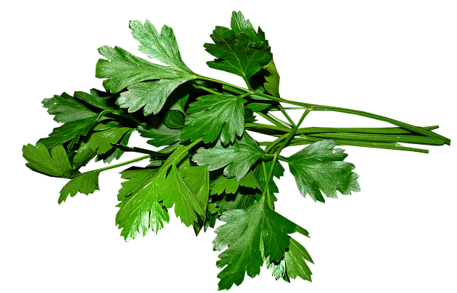 Petersilie glatt/kraus 100g