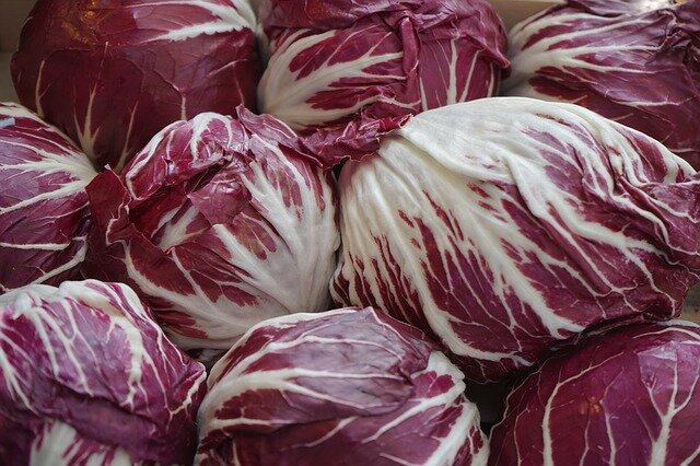 Salat Radicchio Stück D/I