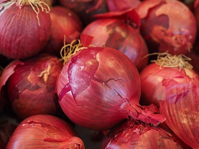 Zwiebeln rot Deutschland