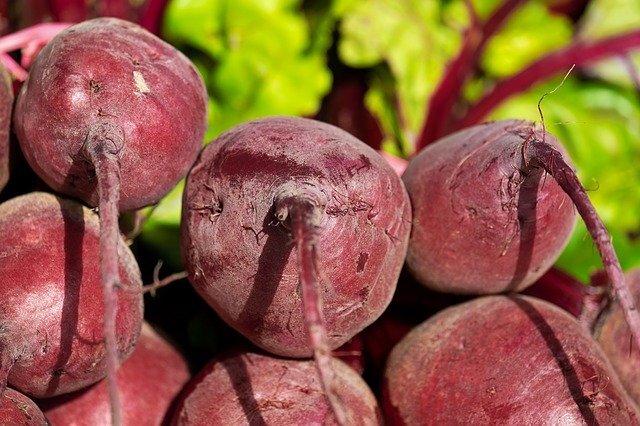 Rote Bete Stück Deutschland