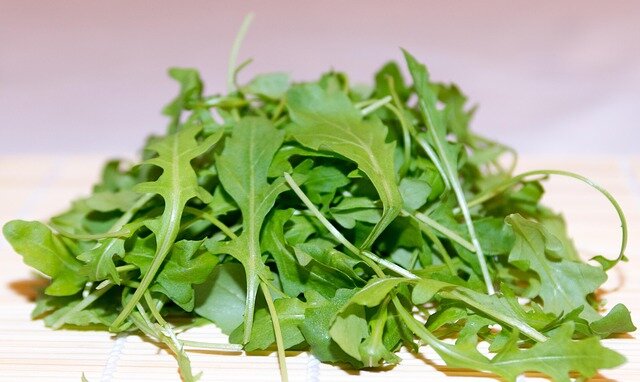 Salat Rucola D/I