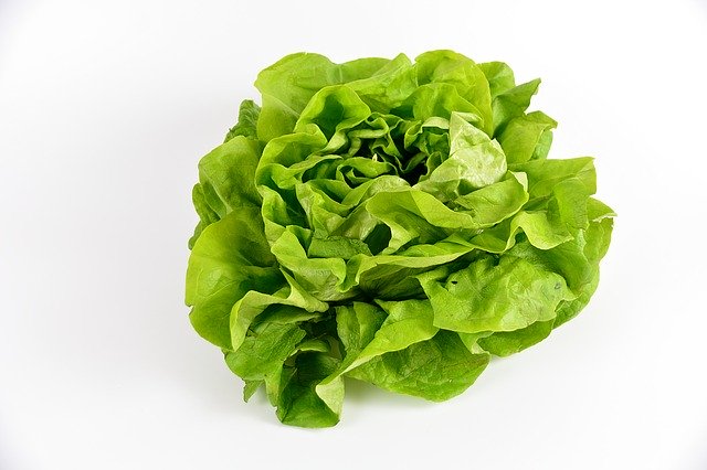 Salate Stück