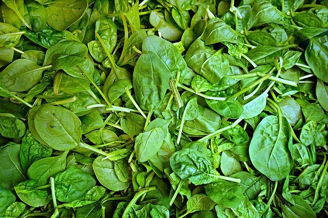 Spinat 100 g