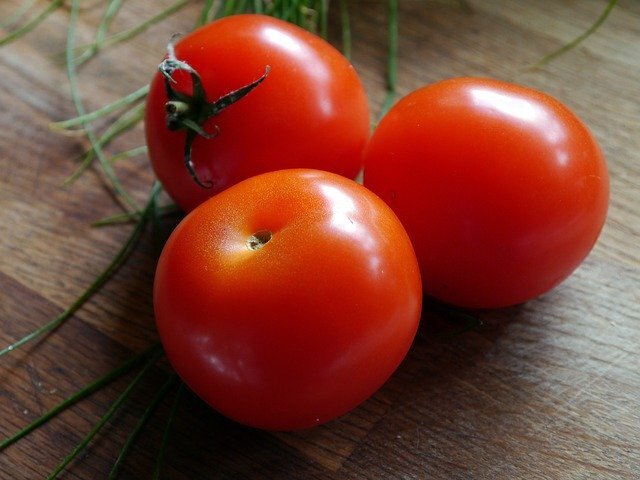 Tomaten Strauch Stück
