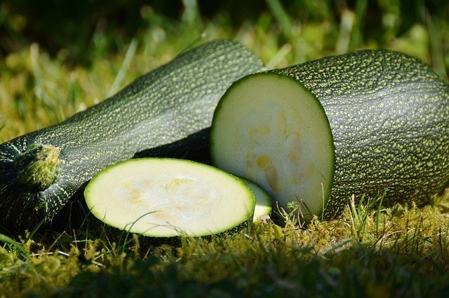 Zucchini D