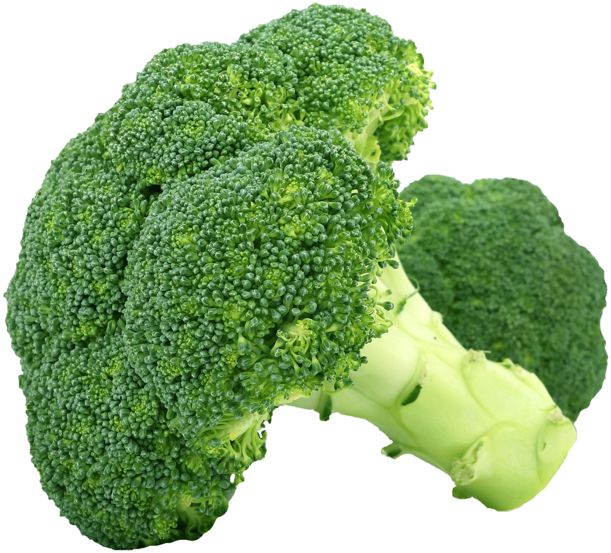 Broccoli Stück D/I