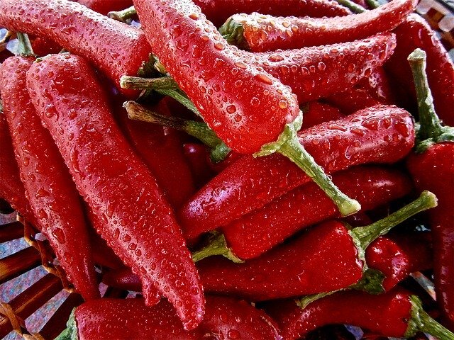 Paprika Spitz Rot Holland Stück